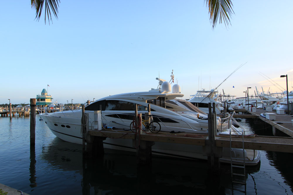 Apogee - Luxury Condo Interior