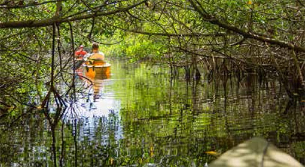 Aquavue - Luxury Condo Interior