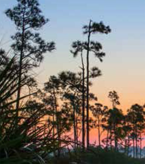 Aquavue - Luxury Condo Interior