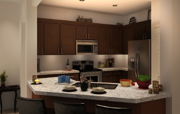 Adagio At Central Park - Luxury Condo Interior